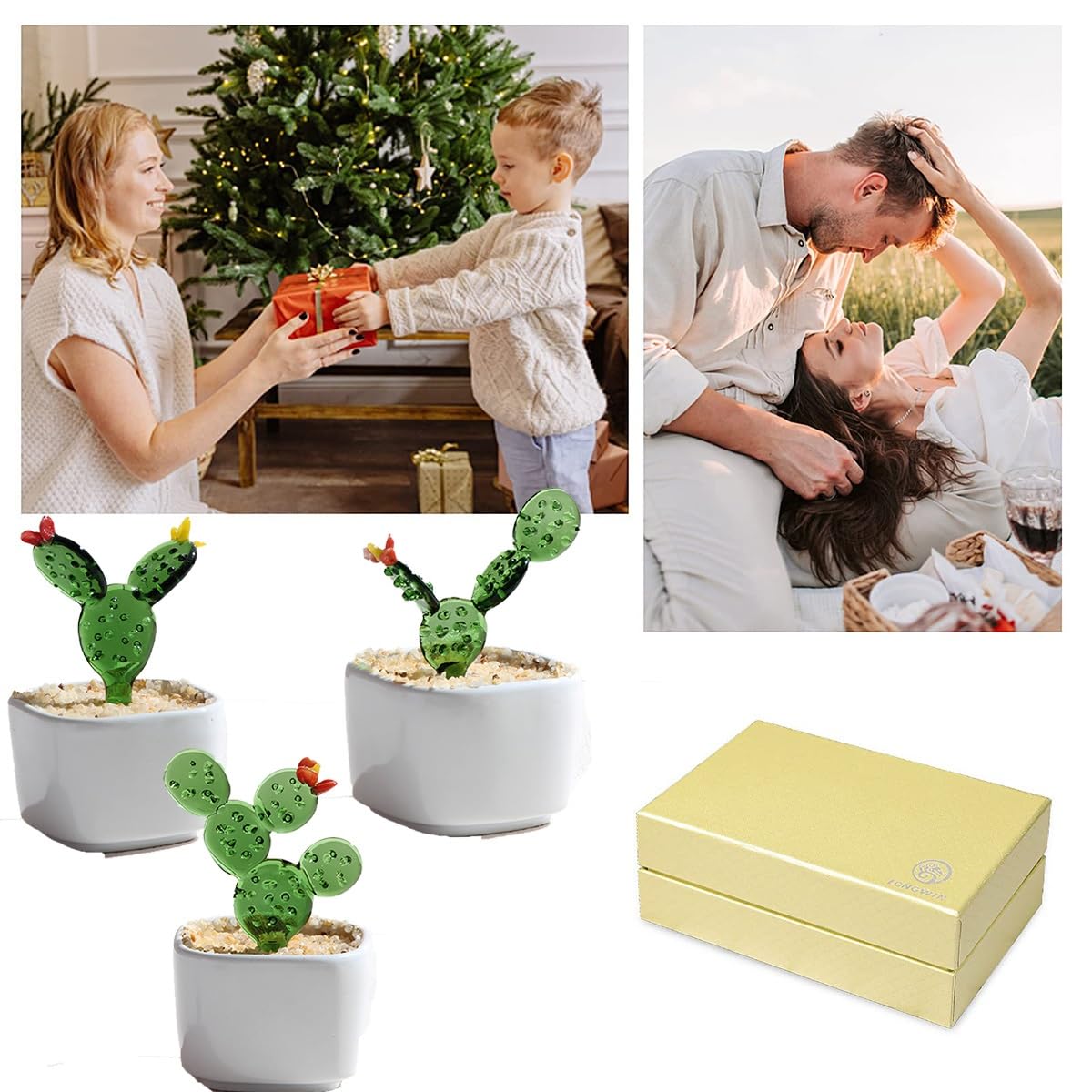 Amazon｜CBVRUKJ ガラス 観葉植物 観葉植物 ミニ 工芸品 装飾