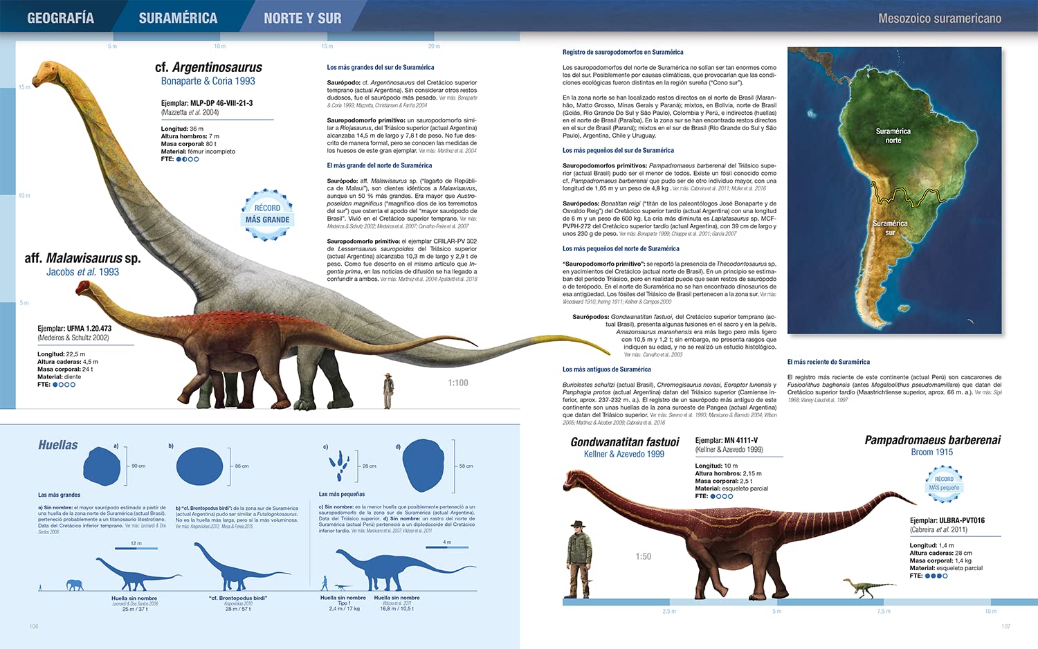 Récords y curiosidades de los dinosaurios. Saurópodos y otros sauropodomorfos