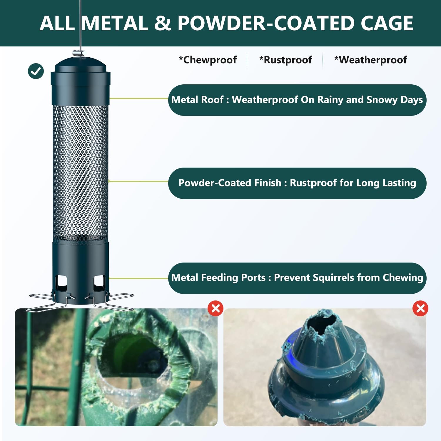 Squirrel Proof Bird Feeder - Attract Birds! -3