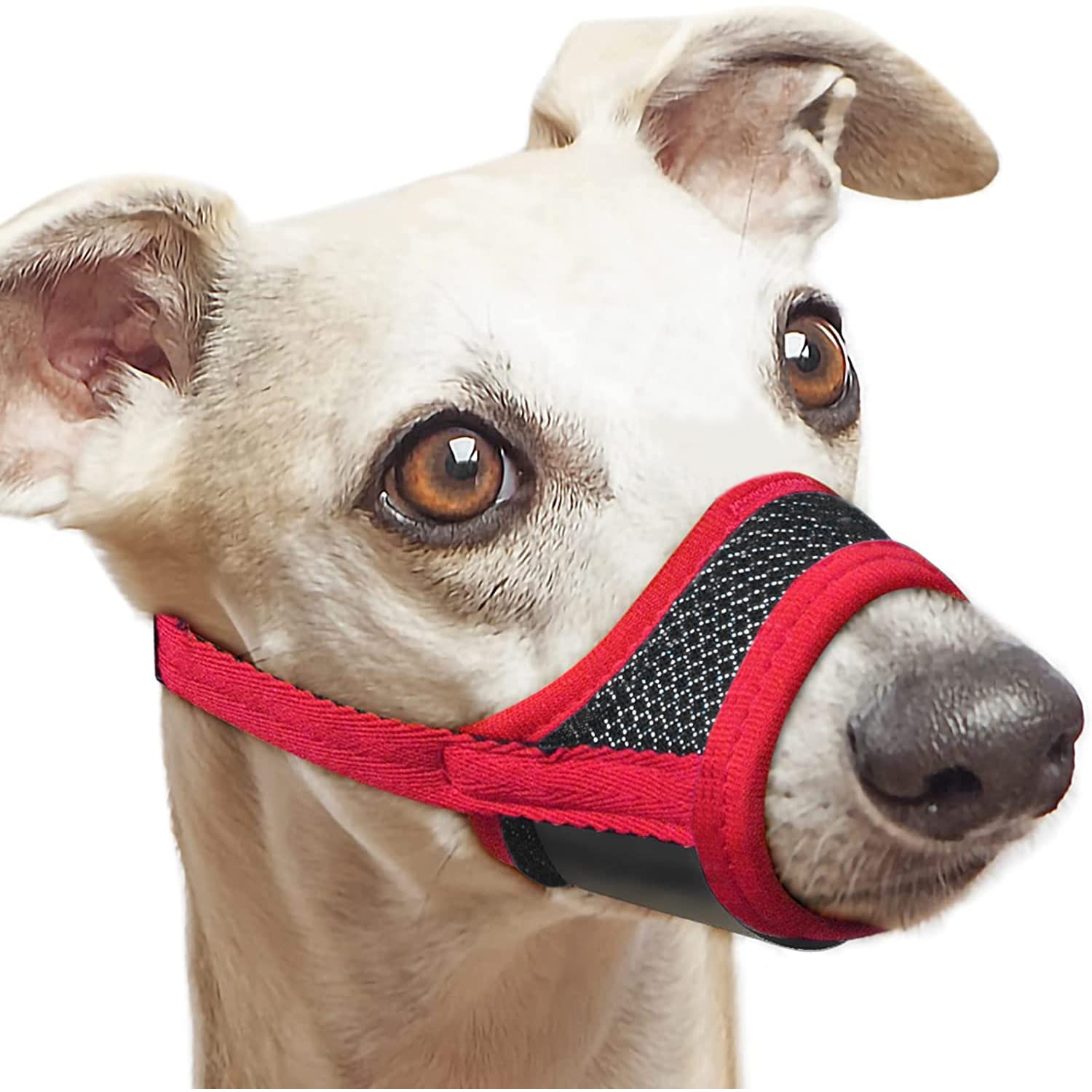 MEDILOE Dog Safety Muzzle, Breathable Adjustable Dog Muzzles to Prevent Biting Barking, Dog Muzzle for Small Dog Medium Large Dogs, 4 Sizes (S)
