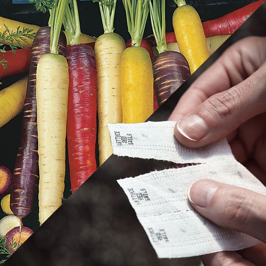 Park Seed Easy DIY Planting Sow Effortless Collection Seed Tape Rainbow Blend Carrot 15 Feet