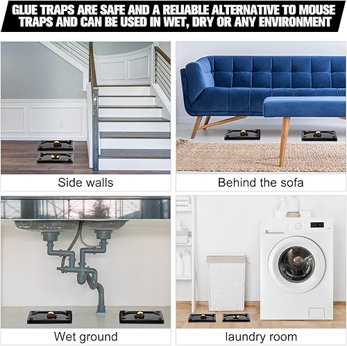 Miniatura 5 de Qualirey 32 trampas de pegamento para ratones e insectos, adhesivo de plástico, serpiente, insectos, para usar en interiores (3 x 5 pulgadas)