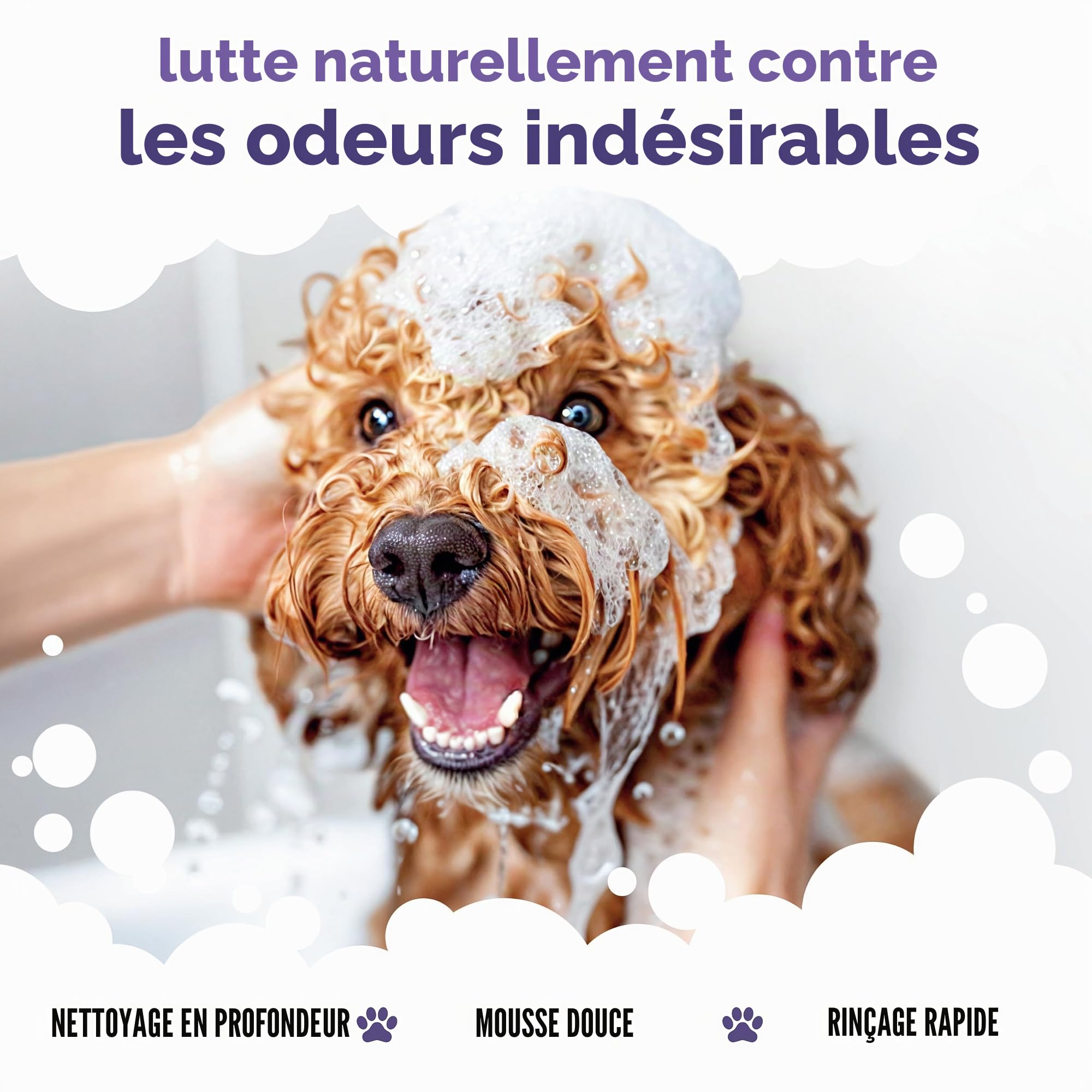 Buddycare Shampooing | Shampooing nettoyant en Profondeur pour Chiens | avec Aloé Véra et B5 (Apaisant et Désodorisant 5L)