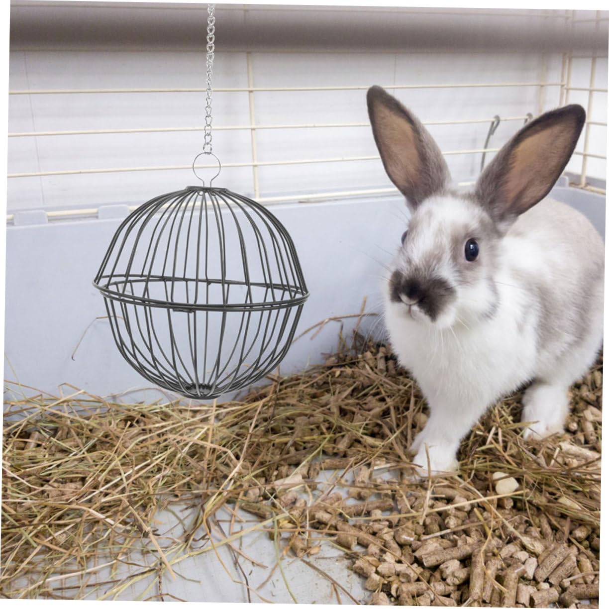 Happyyami 4pièces Distributeur De Foin Inoxydable pour Lapins Et Rongeurs Boules De Nourriture Suspendues Jouets Et Râtelier pour Hamsters Cobayes Et Chinchillas