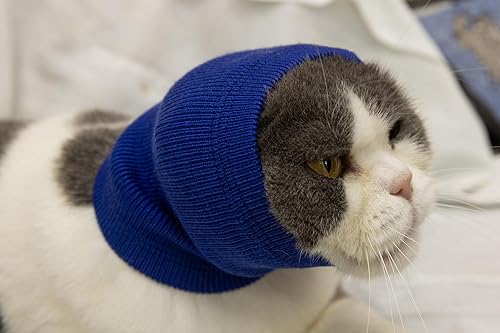Miniatura 5 de Auriculares con cancelación de ruido para orejas de gato, fundas silenciosas para la cabeza, polaina para el cuello para gatos, color azul, S