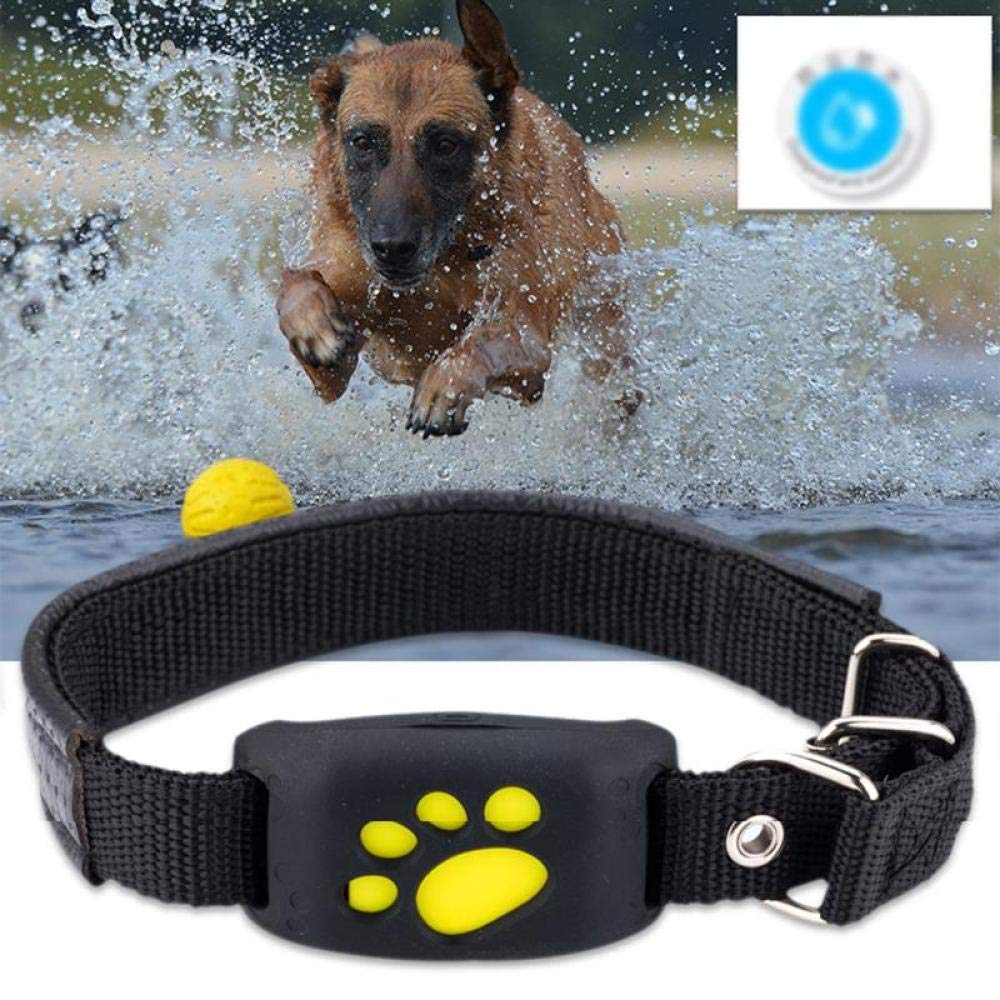 Rastreador GPS para Mascotas Collar Perros Gatos Dispositivo para localización de posicionador GPS para Perros a Prueba de Agua Cable USB Valla de Seguridad Recargable para Mascotas-Cielo Azul