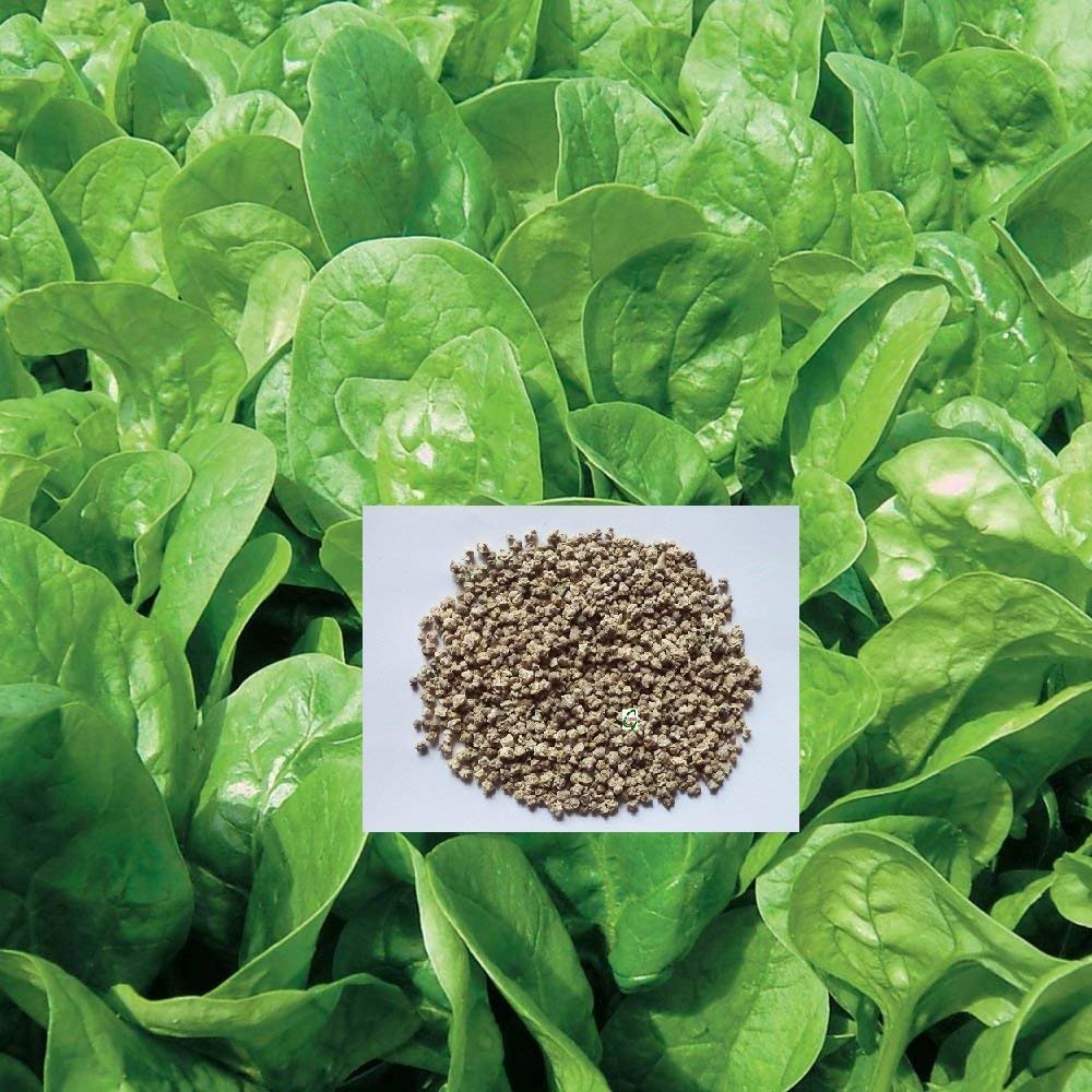 Golden Hills Farm 500 seeds Spinach Microgreens Seeds, Palak Microgreens Seeds (B07RFCTHH1) Amazon Price History, Amazon Price Tracker