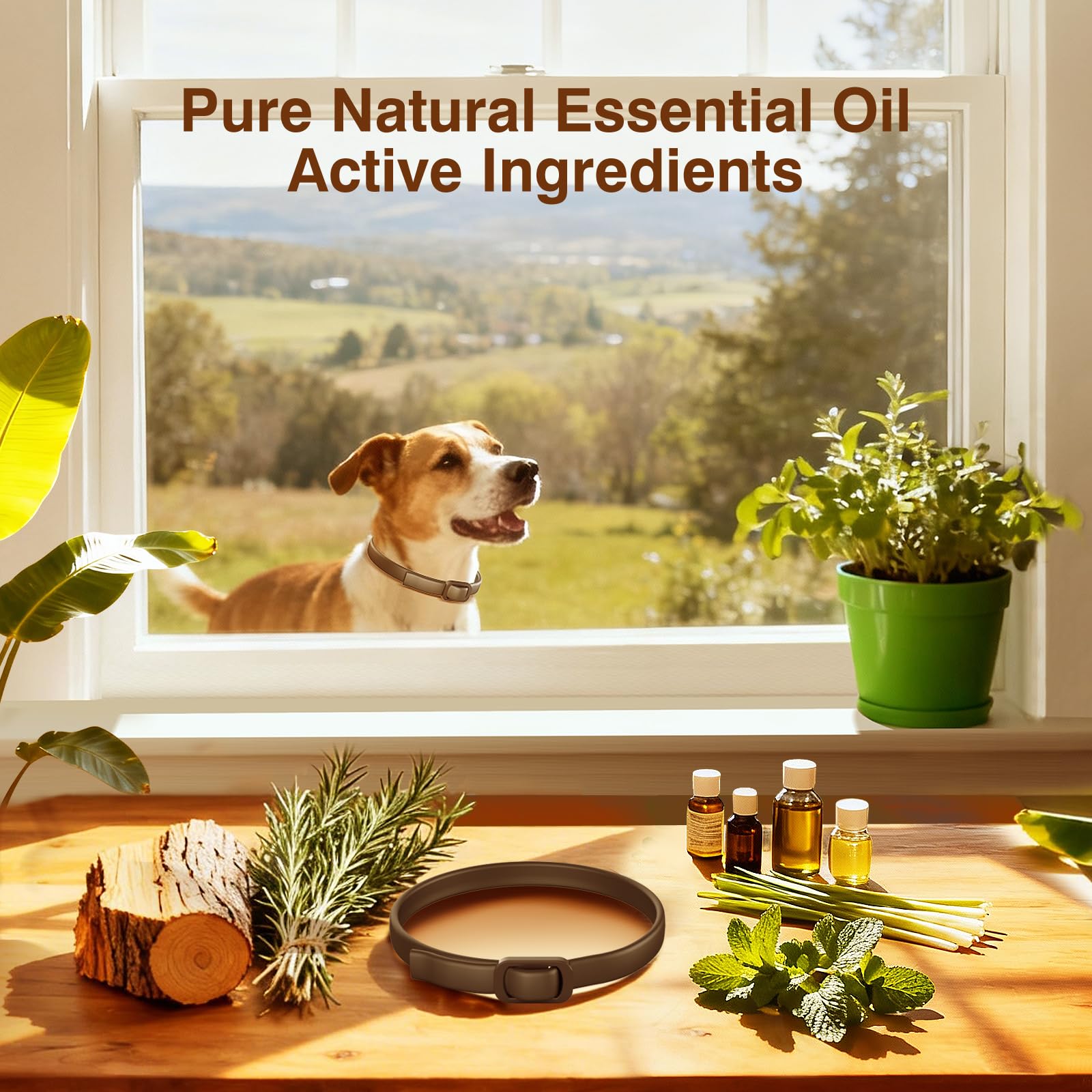 Flea Collar for Dogs, 4 Pack Flea and Tick, Dog Flea Collar with Natural Essential Oils, Adjustable Size for All Ages of Dogs(Black) - 3