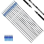 TIGER ARCHERY 30Inch Carbon Arrow Practice Hunting Arrows with Removable Tips for Compound & Recurve Bow(Pack of 12) (Blue White)