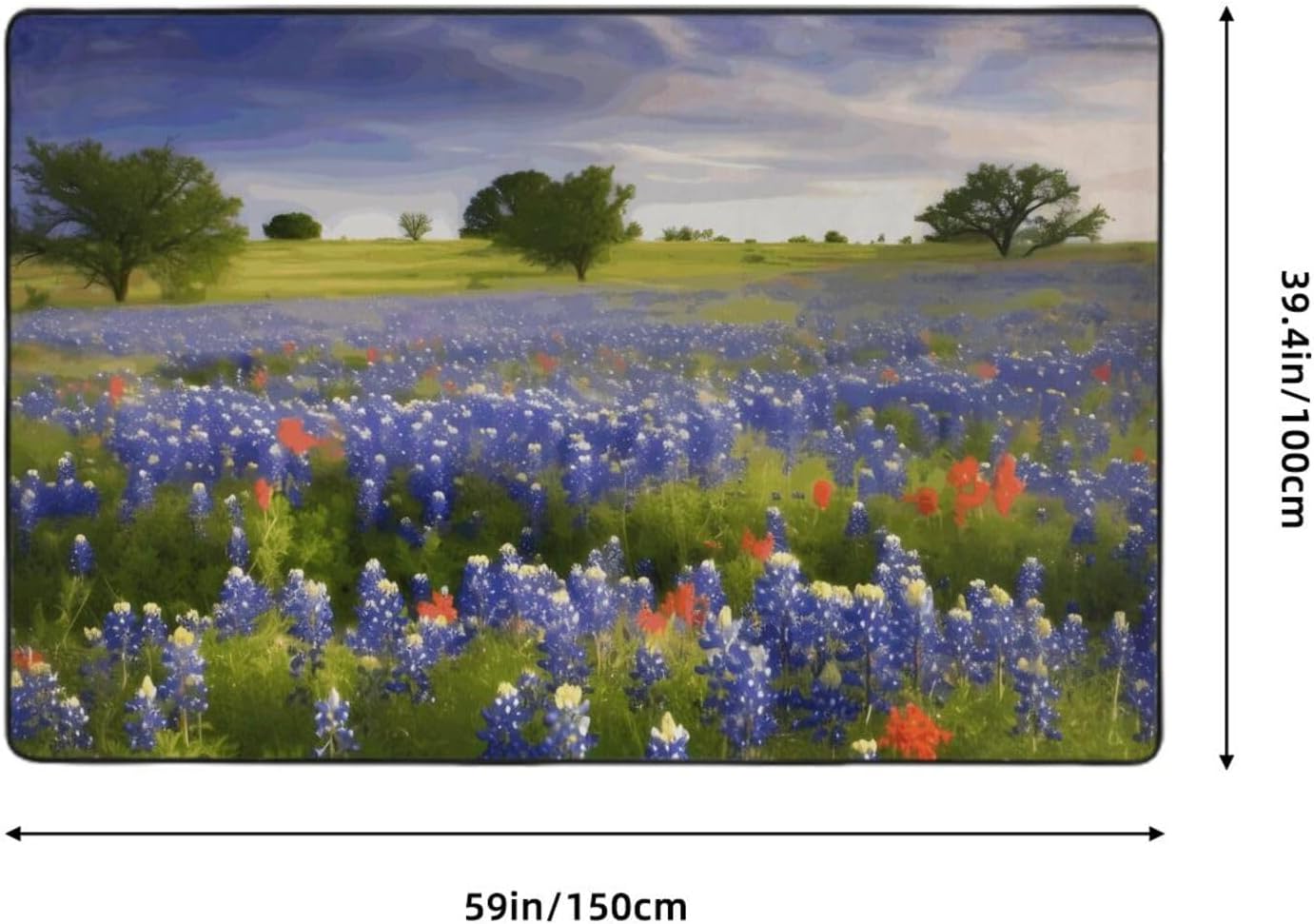 Area Rug Non-Slip Floor Mats Texas Bluebonnets Scenery Rugs for Living Room Doormat Vintage Living Room Rug Floor Carpet Washable Rugs for Bedroom Dining Home Decor Large Carpet 60x39 in