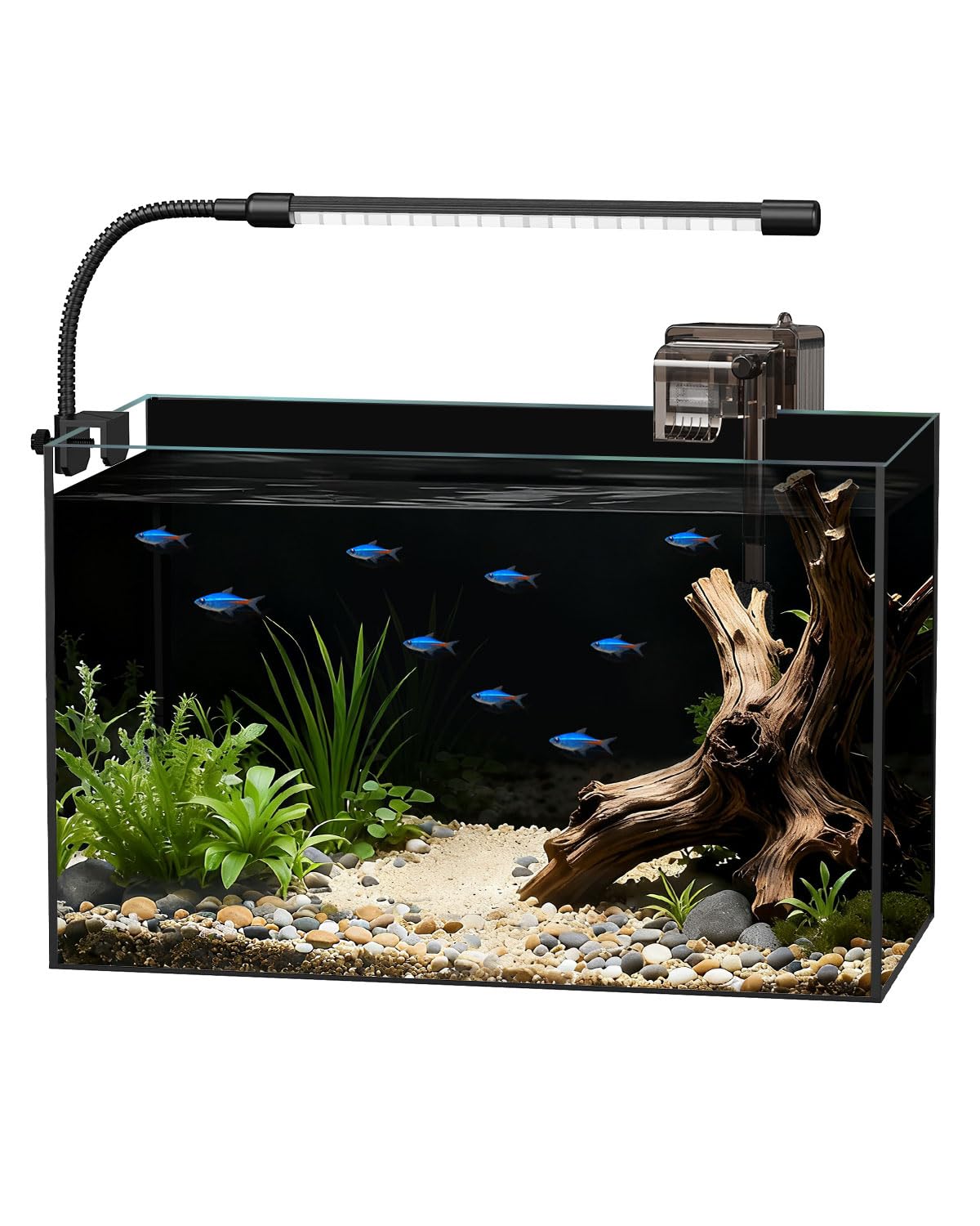 5 Gallon Betta Fish Tank Starter Kit