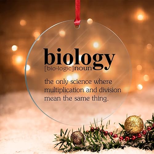 Biología Sustantivo Definición Acrílico Relleno de Calcetines de Navidad Regalo para Niño Definición Divertida Adornos de Navidad Definición de