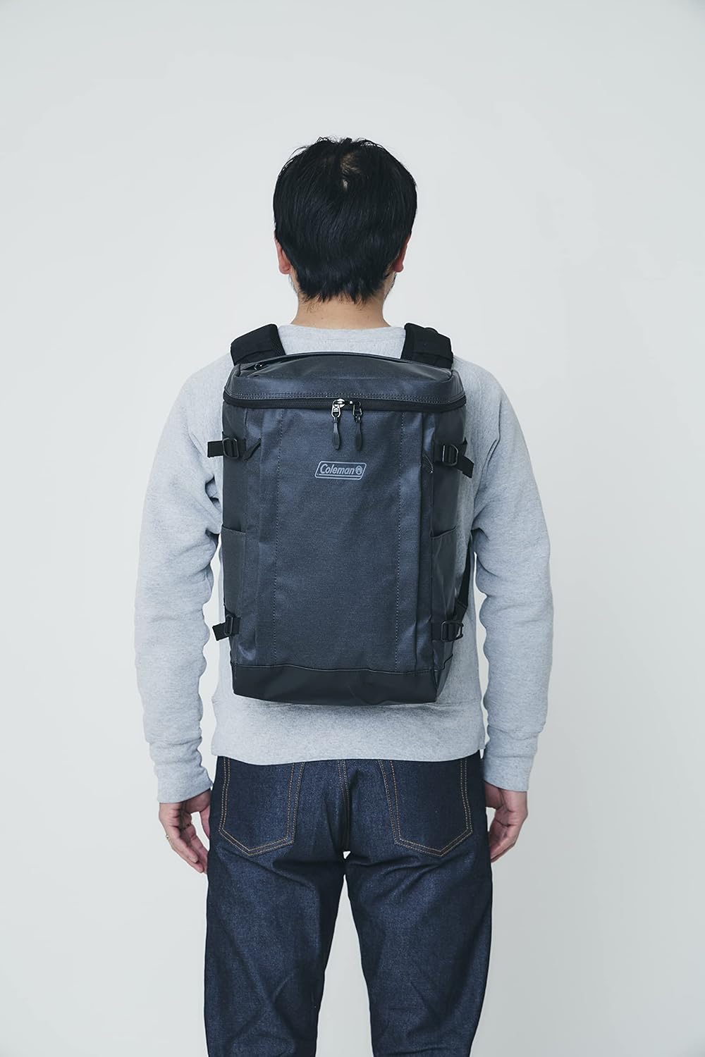 Coleman Shield 25 Backpack, multicolor (gray/black)