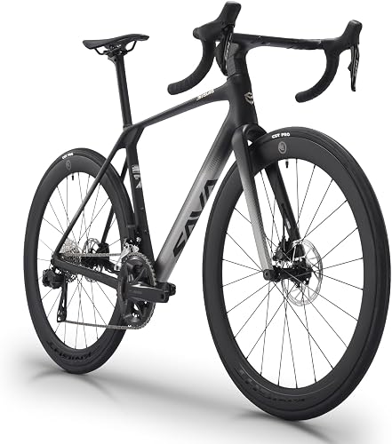 Savadeck road bike