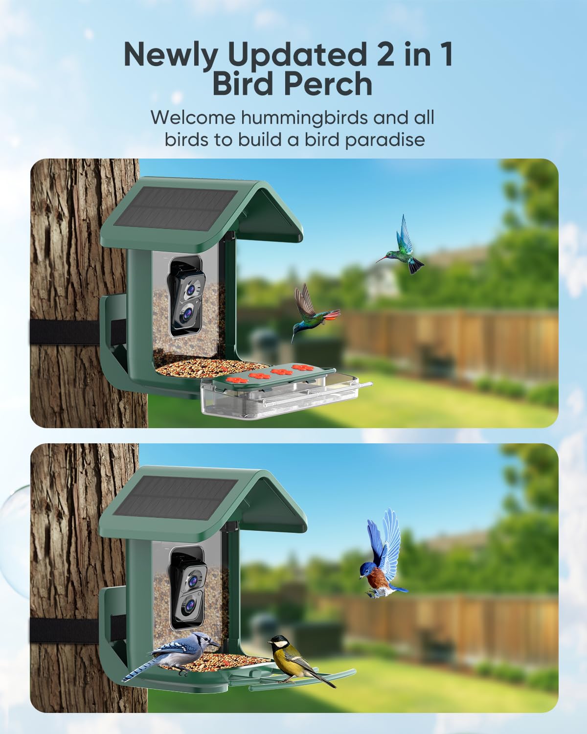 Comedero para pájaros con cámara, cámara alimentadora de colibríes alimentada por energía solar, captura automática inteligente de video y notificación de pájaros, regalo para los amantes de los