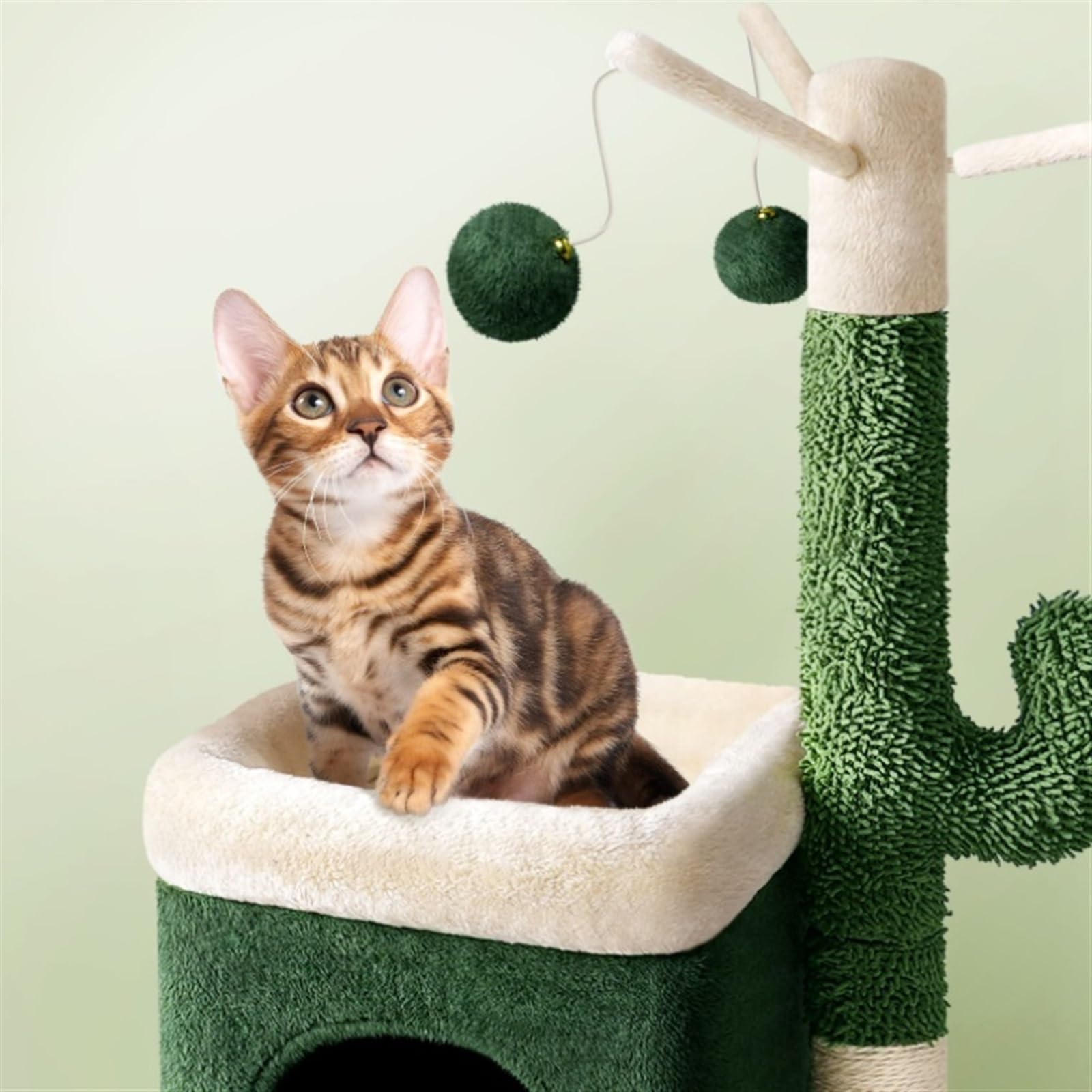 Albero per Gatti da Interno Esterno Tiragraffi per Gatti per Gatti da Interno Moderna Torre per Gatti con Condominio per Gatti con Tiragraffi per Gatti