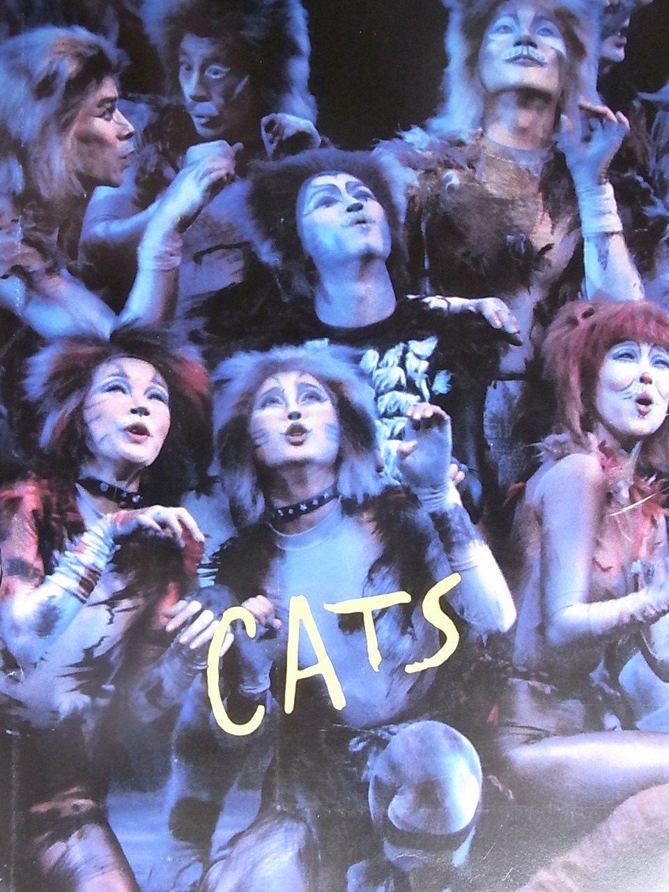 Amazon.co.jp: 舞台パンフレット 劇団四季 キャッツ CATS 1983年公演 