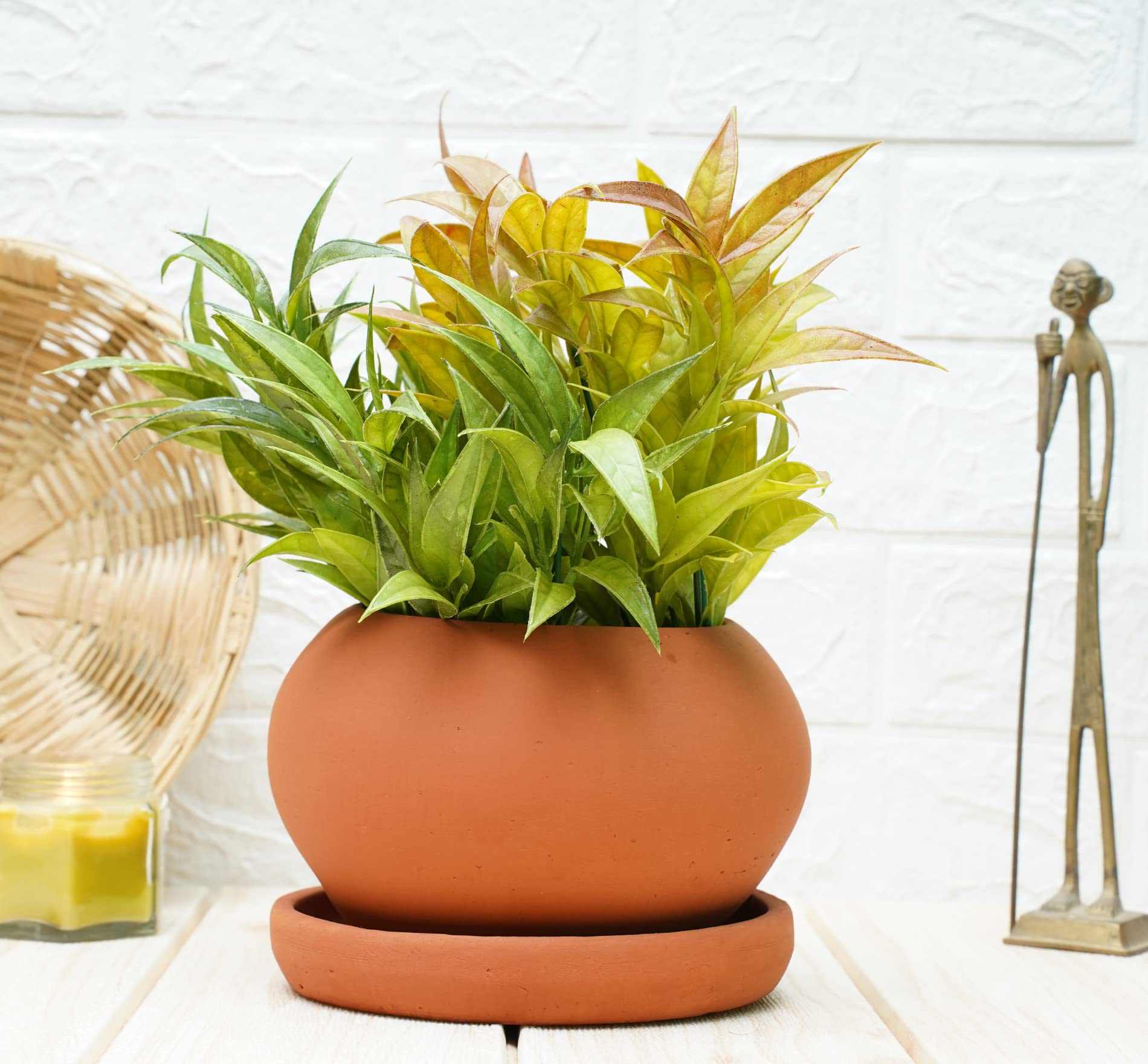 See full amazon price history chart for GOLD DUST Terracotta Pots, Clay Pots for Plants, Gamla for Plants, Gamley for Plants, Terracotta Pots for Plants, Mud Pot for Plants, Earthen Pots for Plants, Mitti Pots for Plants (Pack of 1) GOLD DUST Terracotta Pots, Clay Pots for Plants, Gamla for Plants, Gamley for Plants, Terracotta Pots for Plants, Mud Pot for Plants, Earthen Pots for Plants, Mitti Pots for Plants (Pack of 1) (B0BT8JYMMQ) Amazon Price History, Amazon Price Tracker