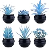 GREENTIME 6 Pcs Blue Artificial Succulent Plants in Mini Black Plastic Pots Small Fake Succulent Plant Faux Indoor Decor Bedroom Desk Bathroom Office Living Room Table Shelf Home Decoration