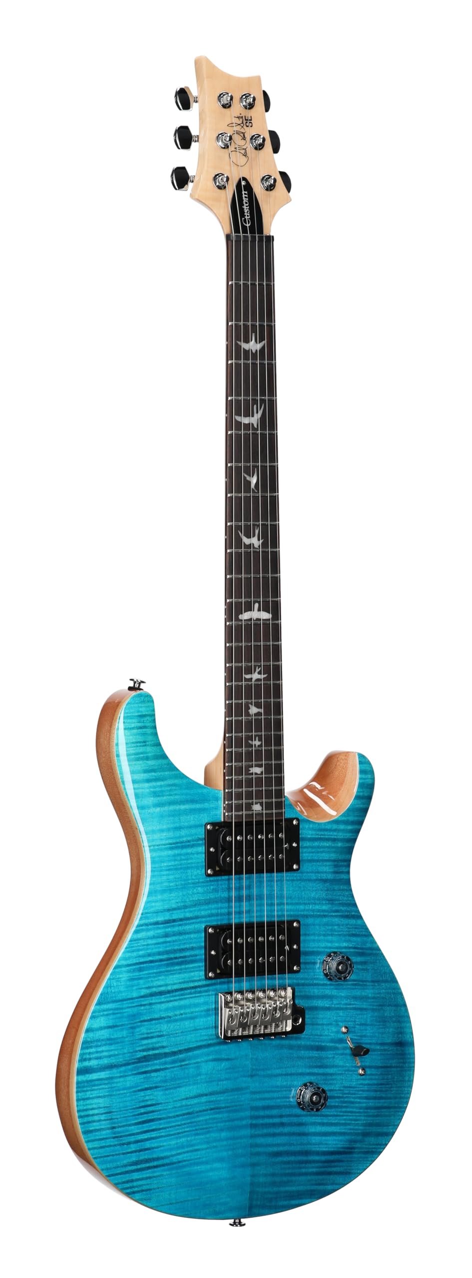 PRS SE Custom 24 Blue Mateo 美品 マグナムロックペグ Amazon.com: PRS SE Custom 24 Exclusive, Blue Matteo Natural Back