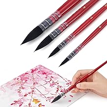 ightwish Watercolor Brush Set, 4 Pieces, for Artists, Adults and Hobbies, Round Brush for Watercolor, Poster Painting
