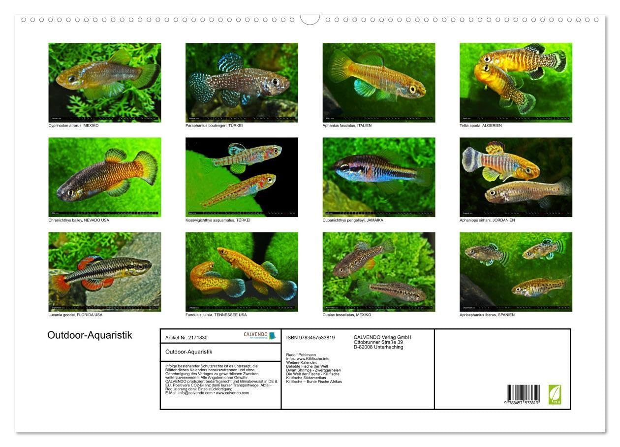 Outdoor-Aquaristik (Wandkalender 2026 DIN A2 quer), CALVENDO Monatskalender: Freiland-Fische für Terrasse, Balkon und Garten