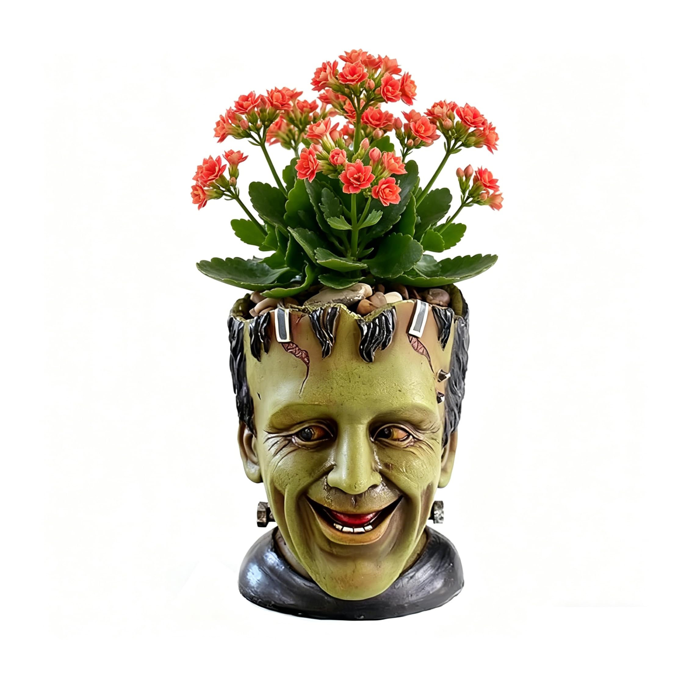 Youfui Vampire Pot Funny Planter Head Planter With Drainage Hole Resin Plant Pot Pencil Holder Desk Storage (Frankstein)