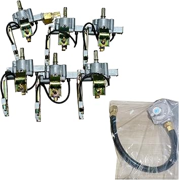 Propane to Natural Gas Conversion Kit for Alimtois BBQ Grill Island | Premium Gas Line Adapter with Quick Connect Fittings | Safe & Durable | Requires Professional Installation