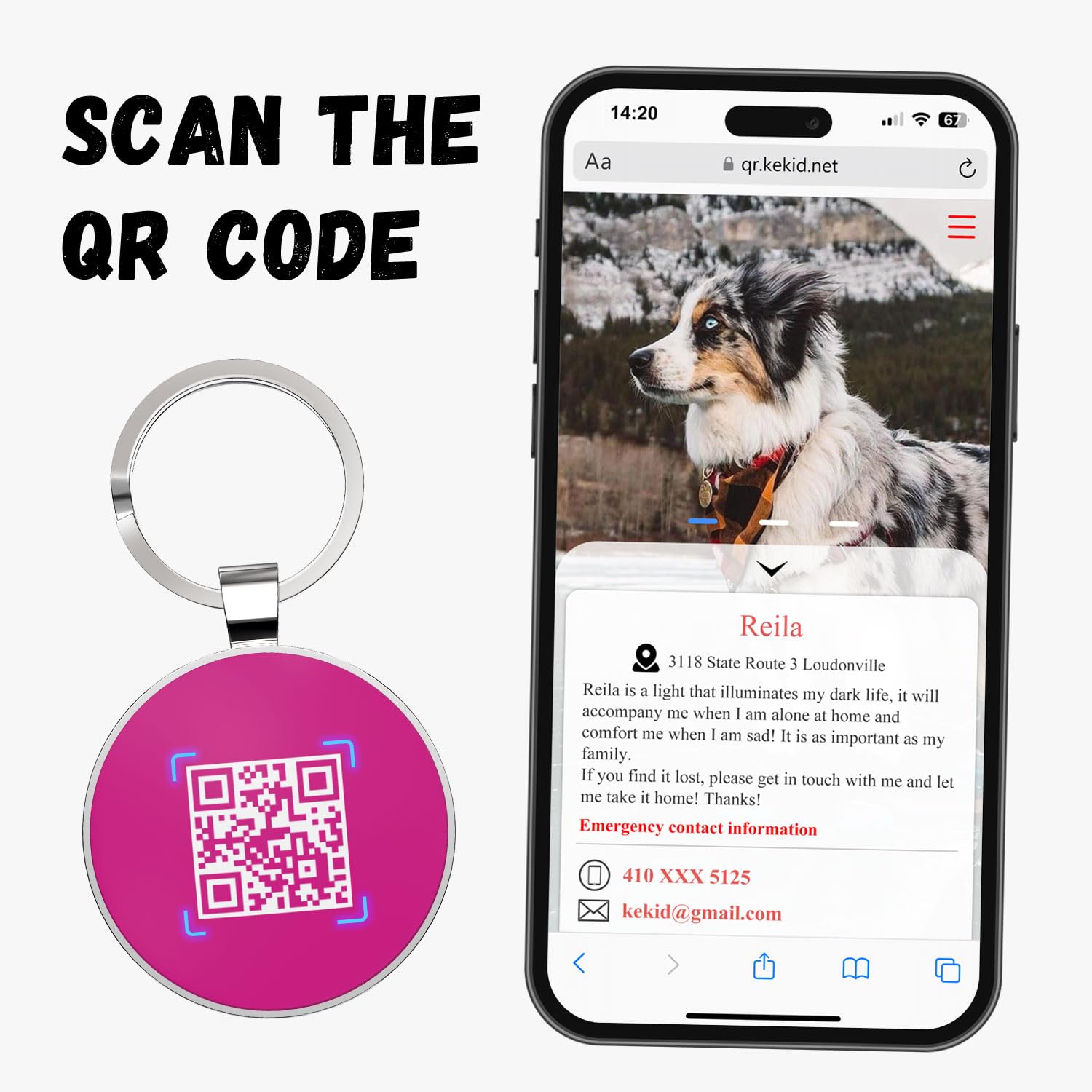 Etykiety dla psów z kodem QR, identyfikatory dla psów spersonalizowane, spersonalizowane zawieszki dla psów i etykiety dla zwierząt domowych z imieniem psa, bezpłatna strona dla zwierząt domowych zapobiega zgubieniu / modyfikacji