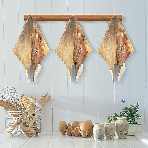 Miniatura 6 de ALAZA South Africa Lion - Juego de 6 paños de cocina, paños de cocina lavables de secado rápido, paño de limpieza reutilizable, 11 x 11 pulgadas