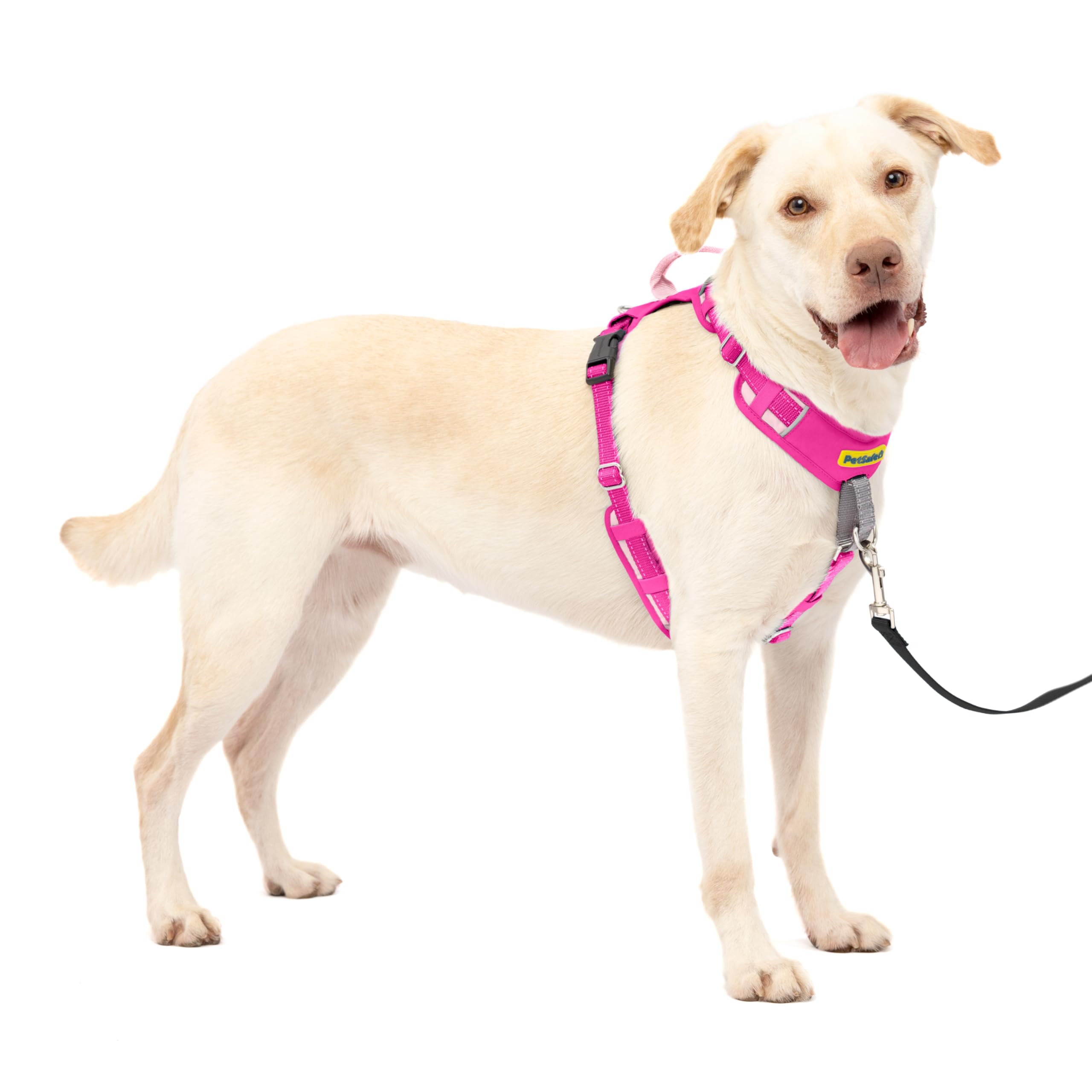 PetSafe Easy Walk - Pettorina per cani comoda e anti-tiro, per migliorare la camminata, design imbottito su tutto il corpo, tessuto resistente, vestibilità regolabile in 5 punti, guinzaglio per