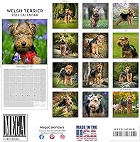 Vista 643 de Razas de Perros 2017