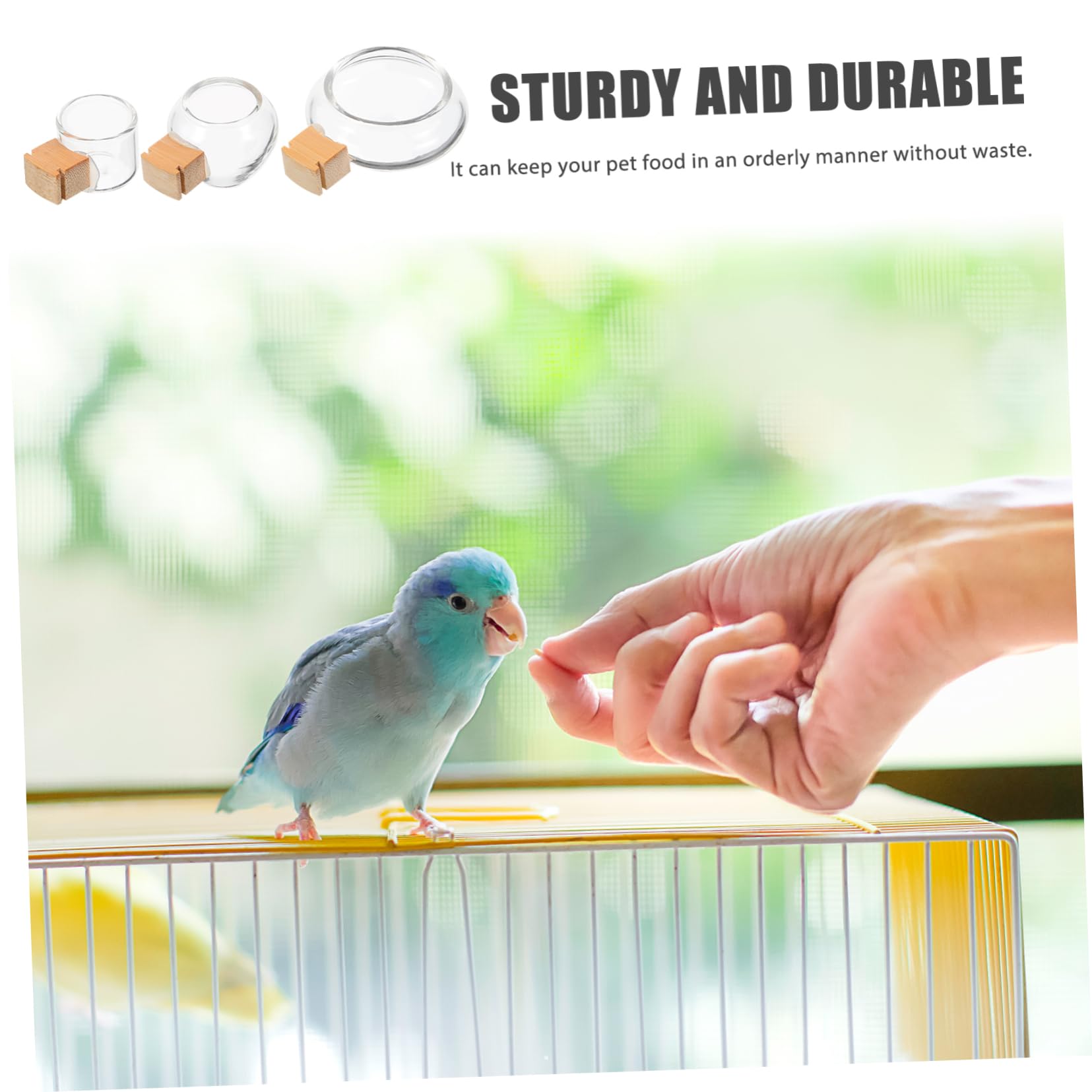 Amazon | LEDMOMO 3個 鳥かごのガラス製餌場と水飲み場 小さなペット