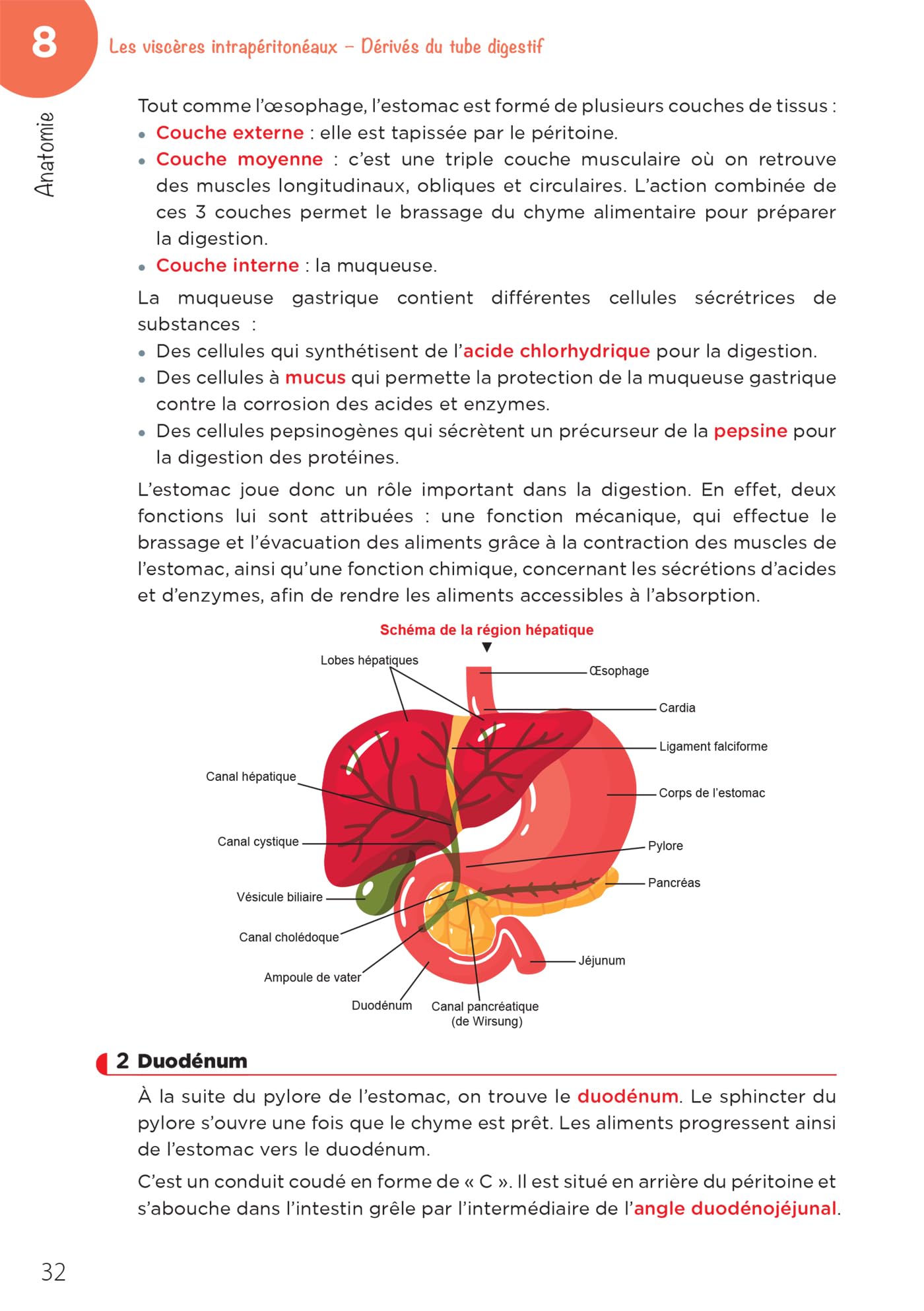 LAS - Licence Accès Santé - Tome 2