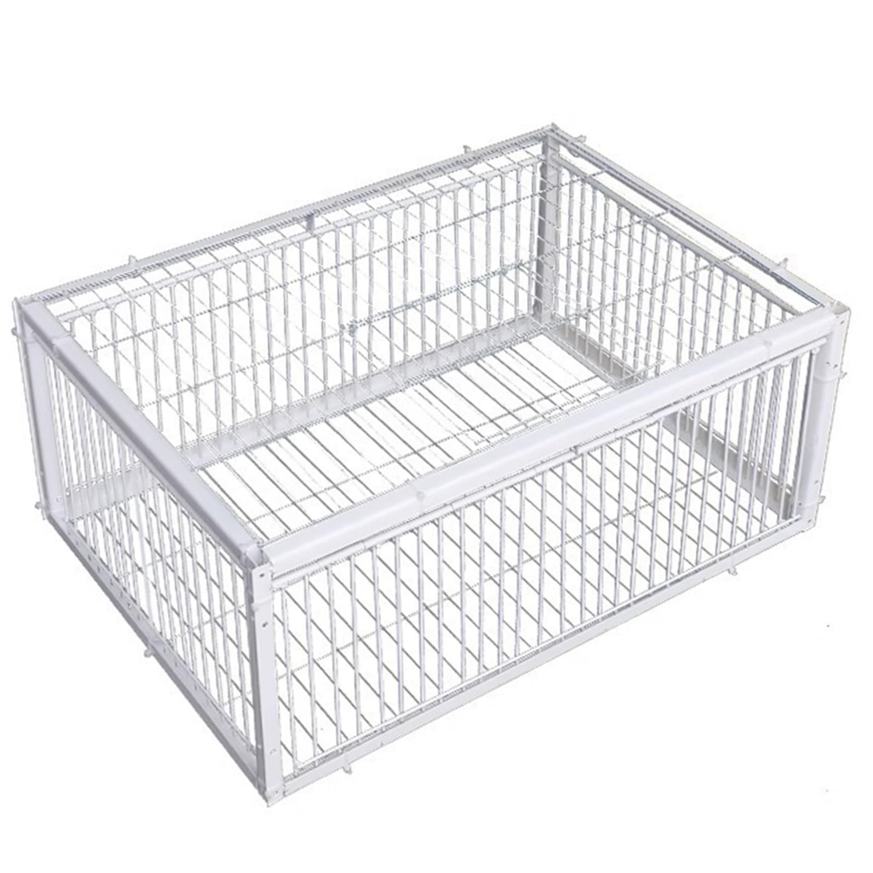 Pigeon d'entrée à deux canaux anti-échappement pour cage d'oiseau extérieur et ferme