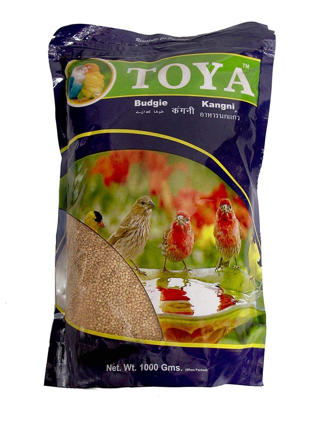 Pawwfect® Toya Budgie Bird Food 1000Gm (Kangni) Amazon.in Pet Supplies