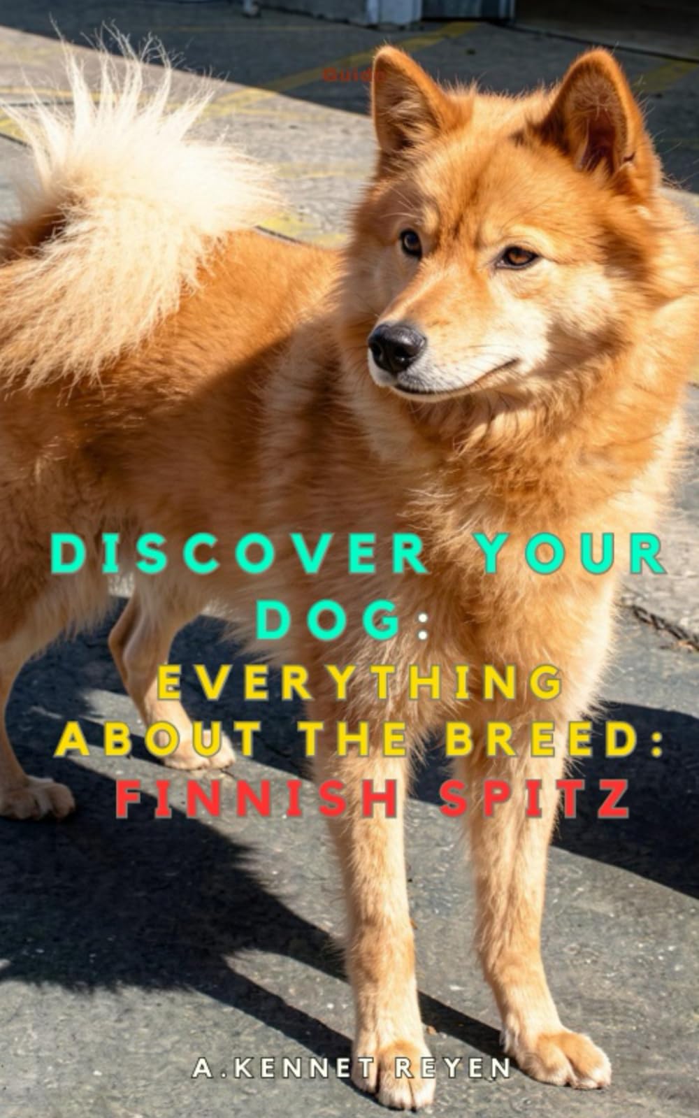 Discover your dog: Everything about the breed: Finnish Spitz