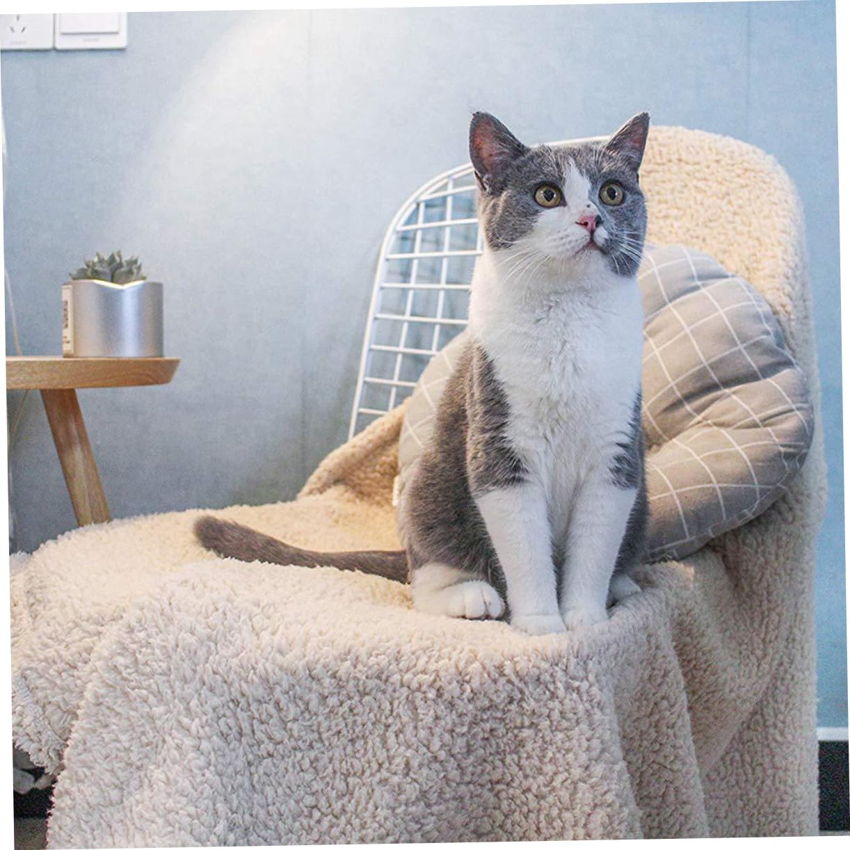 Plüsch Haustierkissen für Katze und Hund, Schlafmatte, Größe L, Beige