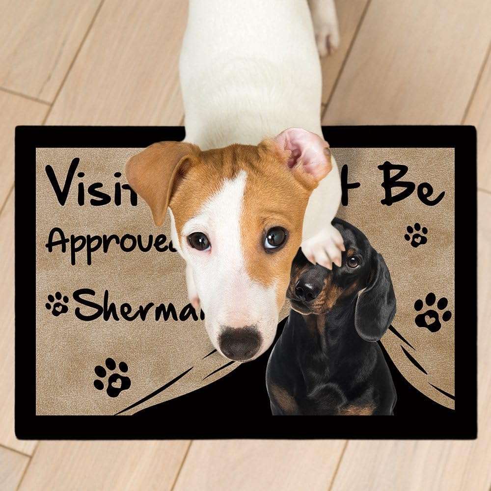 Visitors Must Be Approved by The Corgi Dog Doormat Funny Pet Animal Custom Floor Mat Home Decor Rug 23.6" x 34.5"