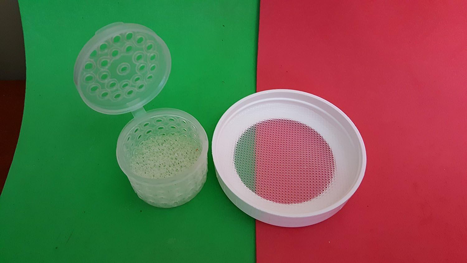 Kefir Fermenter: Simple Set for Homemade Kefir with Fresh Kefir Grains