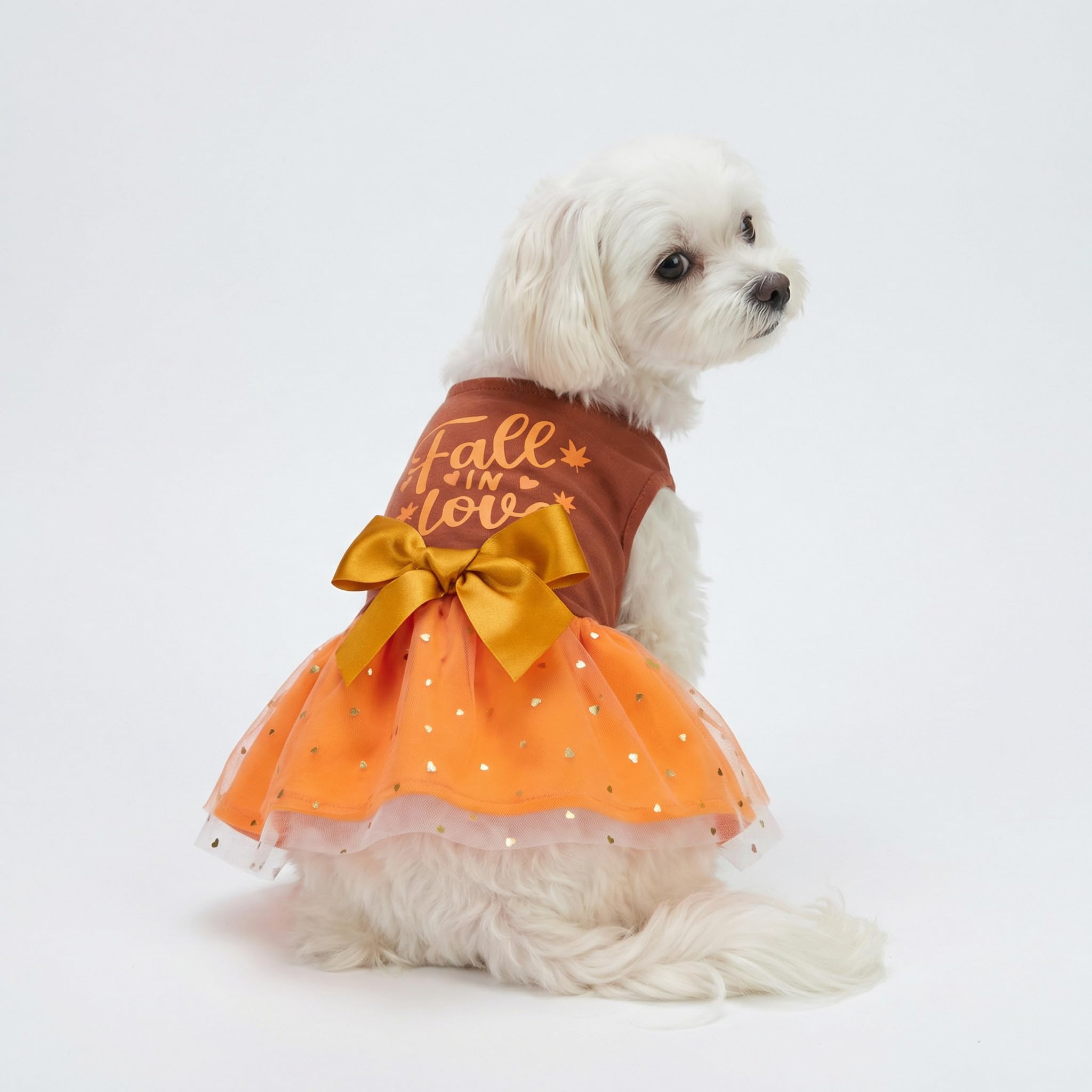 fall dog dress Amazon.com : Fitwarm Thanksgiving Fall in Love Dog Dress, Sparkly Dog  Clothes for Small Dogs Girl, Holiday Pet Tutu Dress, Cat Outfit, Brown,  Orange, XXS : Pet Supplies