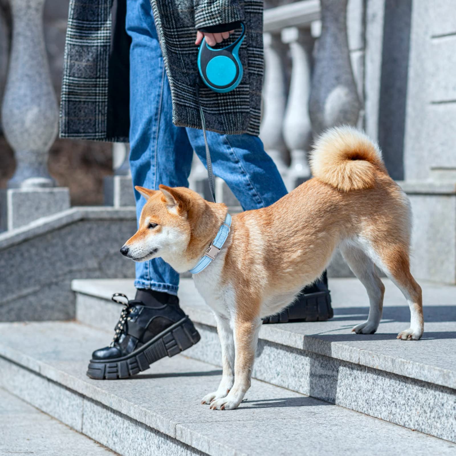 Pasek do obroży dla psa, odblaskowy pasek zastępczy do obroży amortyzującej, kompatybilny z prawie wszystkimi markami i modelami obroży elektrycznych (niebieski)
