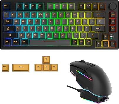 DAREU Wireless Keyboard and MouseA955 Wireless Gaming Mouse & EK75PRO 75% Mechanical Gaming Keyboard Combo