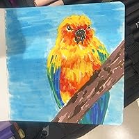 Vista 5 de Rotuladores de doble pincel, juego de marcadores artísticos de 72 colores con marcadores de punta fina y pincel para libros de colorear