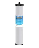 Waterdrop WD-CFF-06 Replacement Filter, Countertop Water Filter, 8000 Gallons Longer Filter Life, Reduces PFOA, PFOS, Chlorine, Sediment, 1 Pack