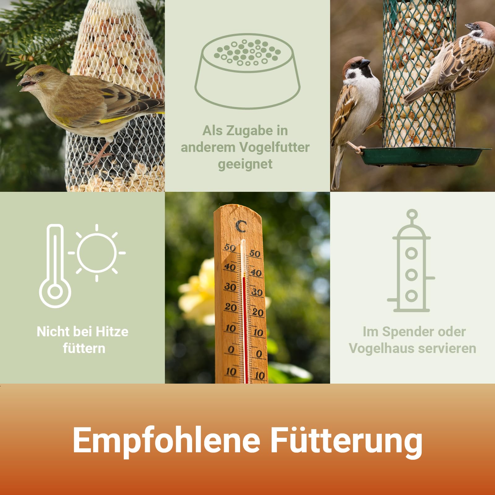 PANTO Erdnussbruch Vogelfutter