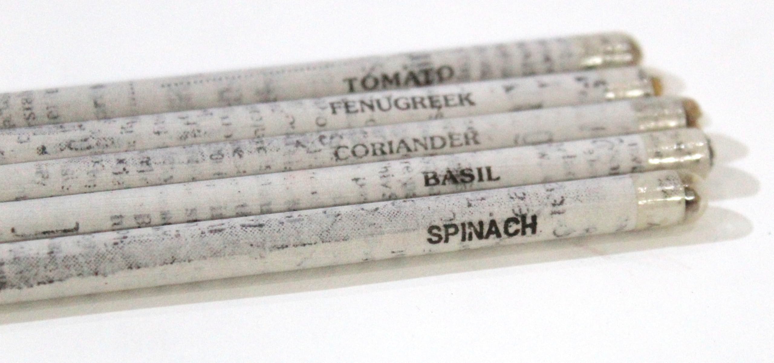 INDIAN CRAFT CASTLE Recycled Newspaper Plantable Paper Pencils with Seeds, HB Pre-Sharpened Graphite, Break-Resistant Lead, Set of 12, Ideal for Drawing, Sketching & Shading