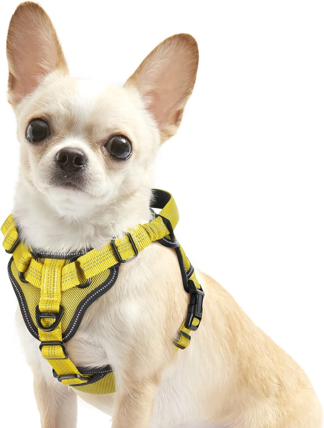 rabbitgoo Dog Harness, No Pull Dog Vest Harnesses with Bungee Shoulder Straps, Reflective Dog Walking Harness with Handle & 2 Metal Clips, Belly Adjustable, Soft Padded for Large Medium Small Dogs