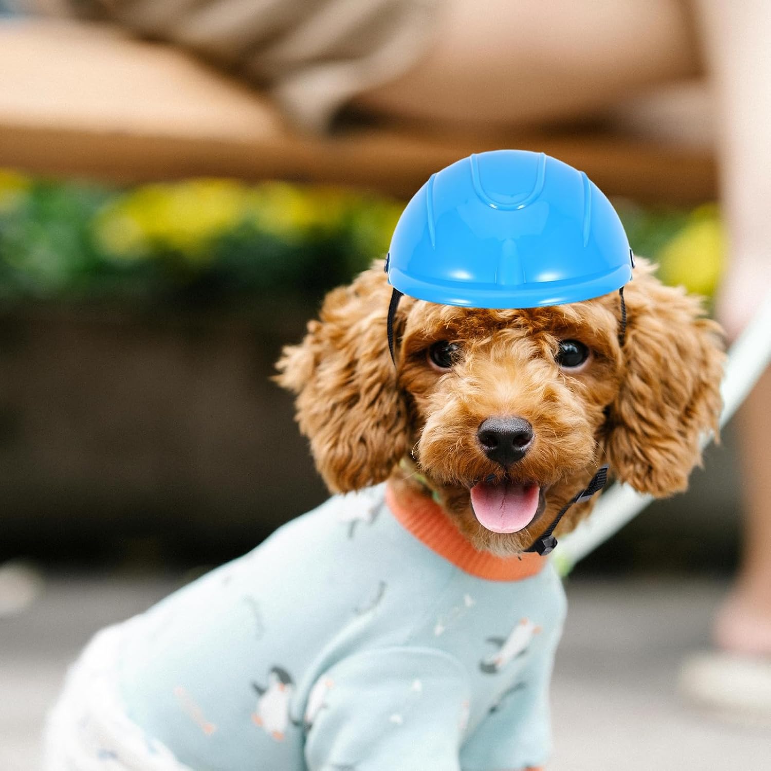 HEMOTON Pet Scooter Helmet for Small Dogs and Cats with Adjustable Chin Strap, Ventilated Plastic Motorcycle Helmet for Outdoor Riding and Moped Adventures, Stylish Protective Dog Safety