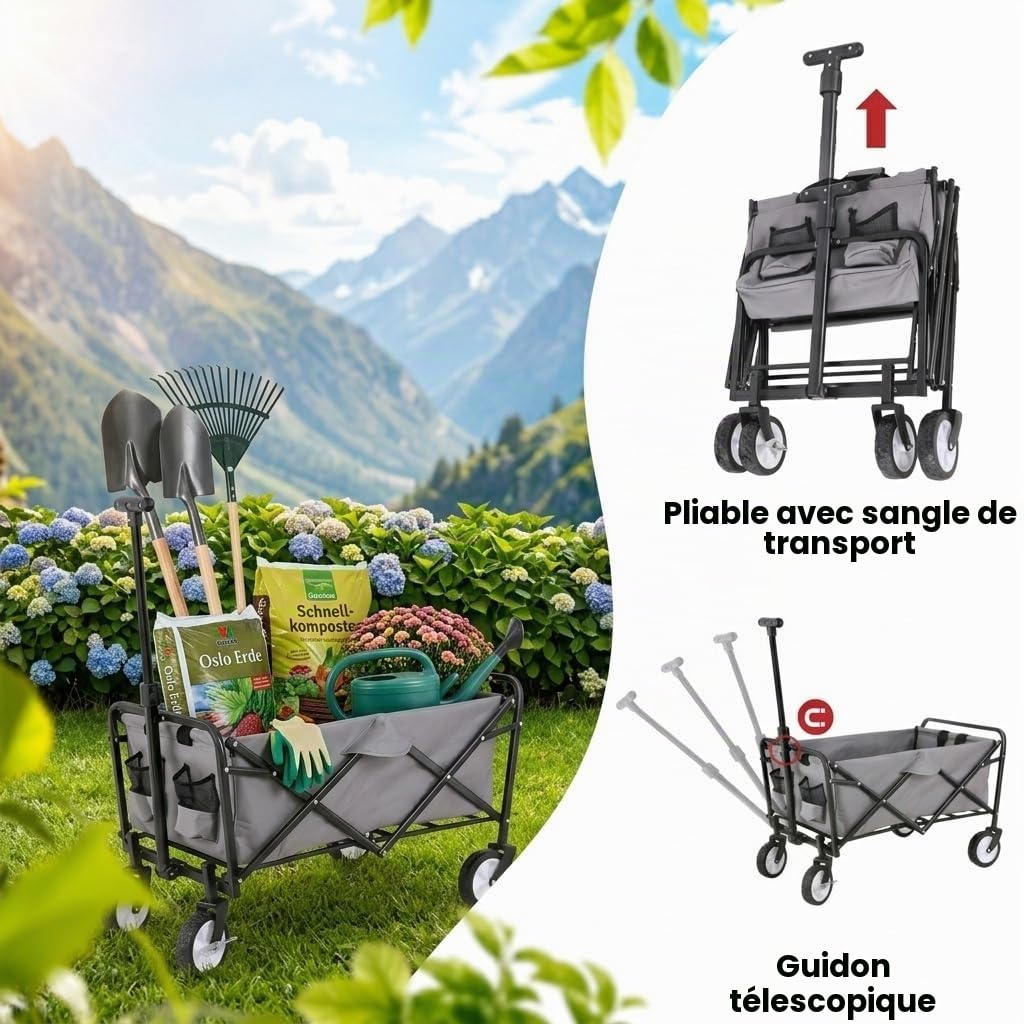 Carromco Chariot de Transport Pliable pour l'extérieur avec Frein de stationnement, jusqu'à 80 kg